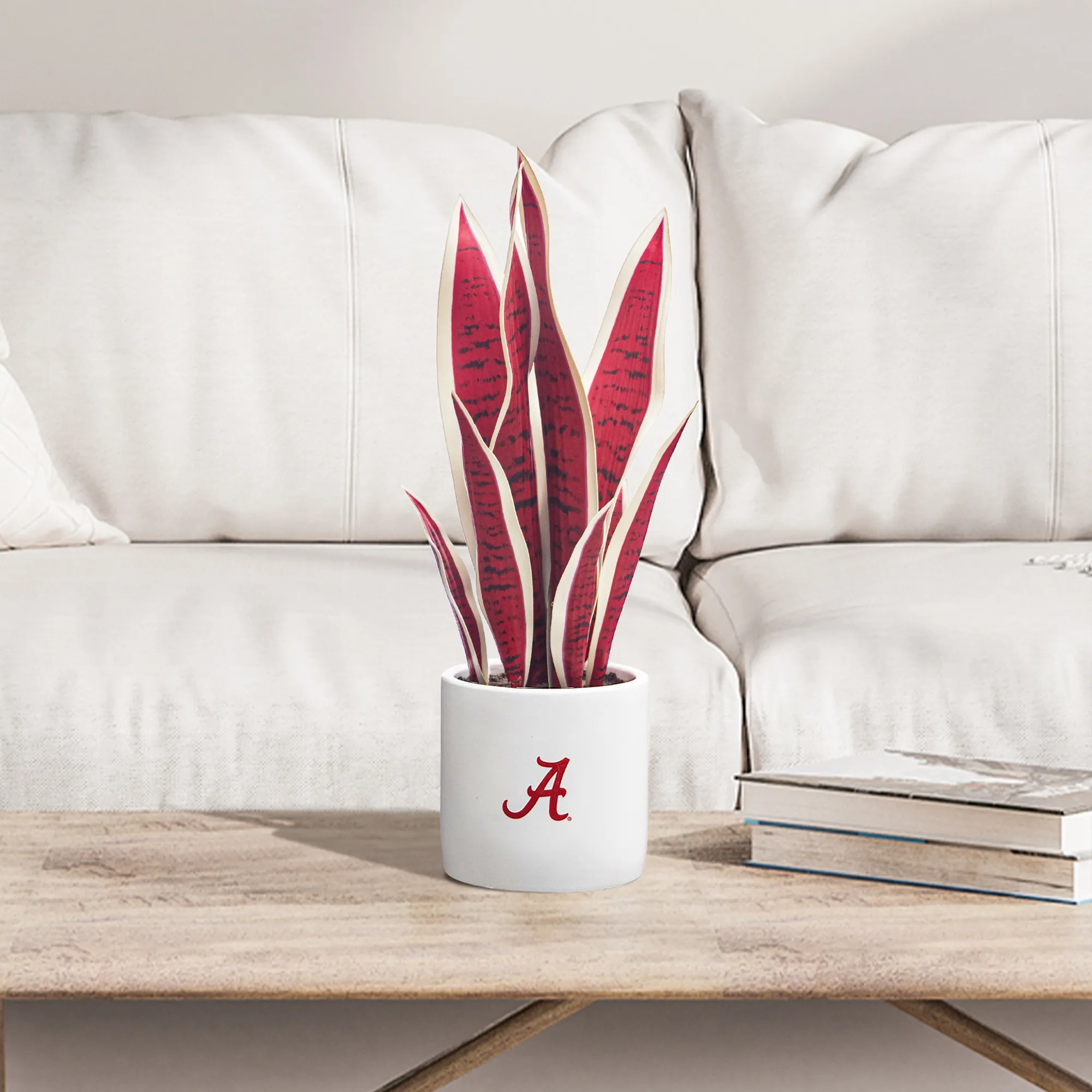 Alabama Crimson Tide Faux Snake Plant & Orchid