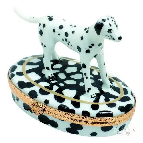 Dalmatian Dog