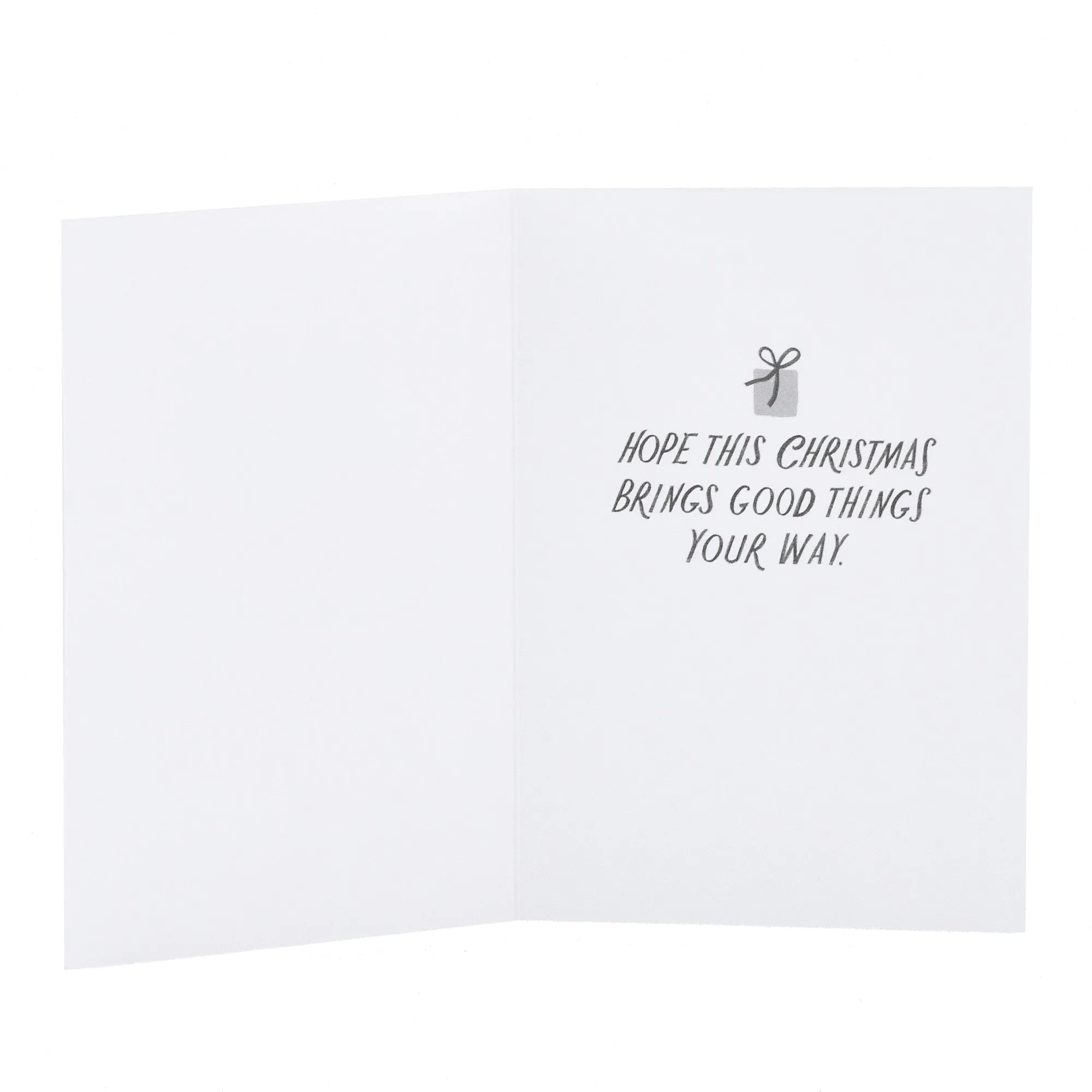 Hallmark Boxed Christmas Cards - Stylish Sleigh