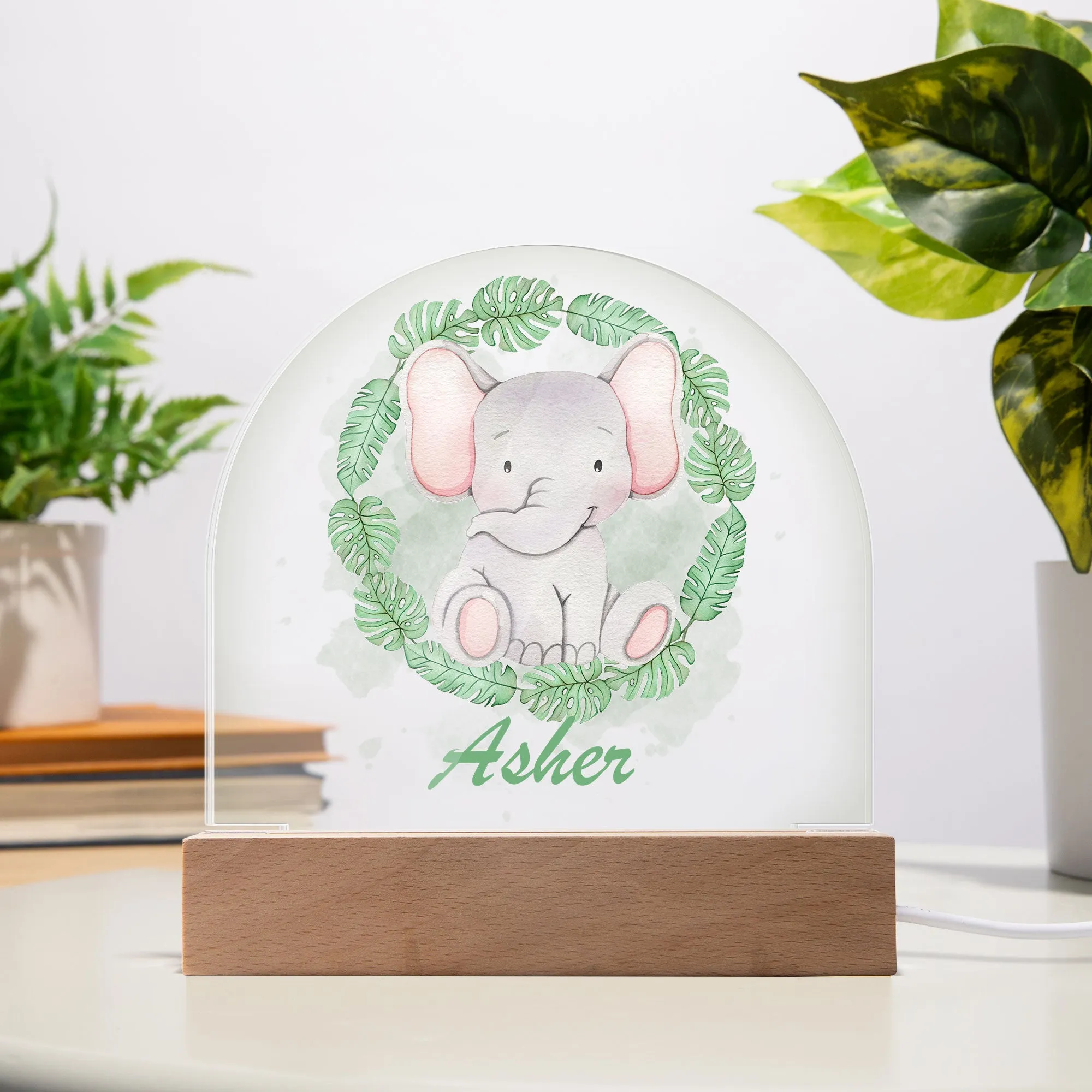 Personalised Safari Wreath Acrylic Dome Plaque Night Light