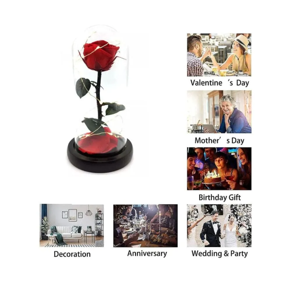 Preserved Rose Enchanted Rose Red Silk Rose in Glass Dome with LED Lights Pine Base, Romantic Home Decor Gifts for Mothers Day Wedding Anniversary Birthday Valentines Day