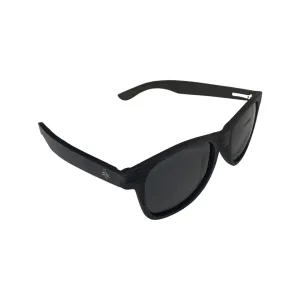 TBS logo black bamboo sunglasses with polarized lenses DC