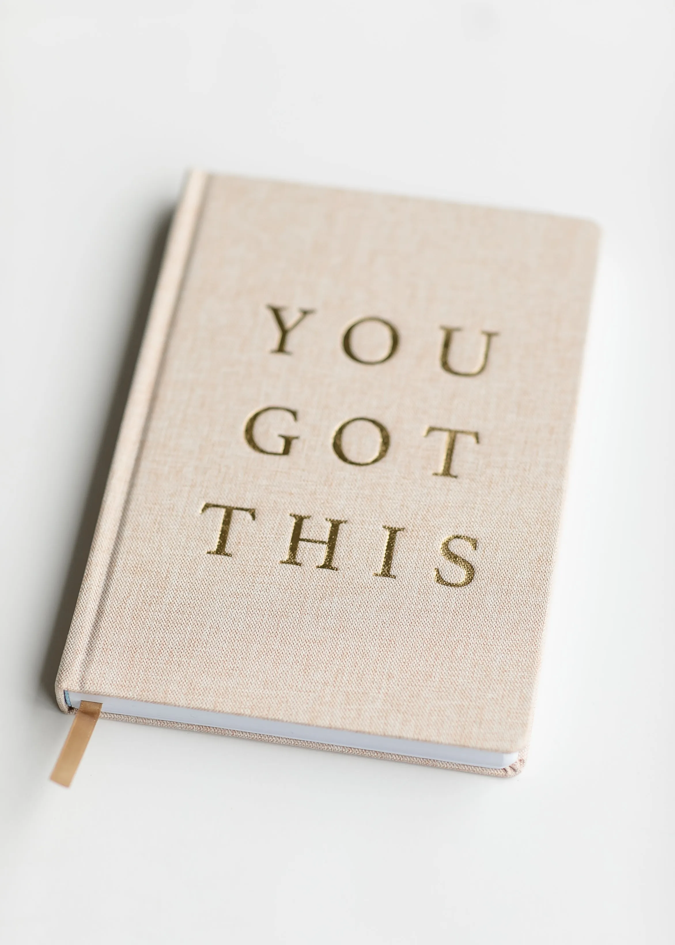 You Got This - Tan and Gold Foil Fabric Journal